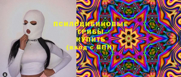 ГАЛЛЮЦИНОГЕННЫЕ ГРИБЫ Абдулино